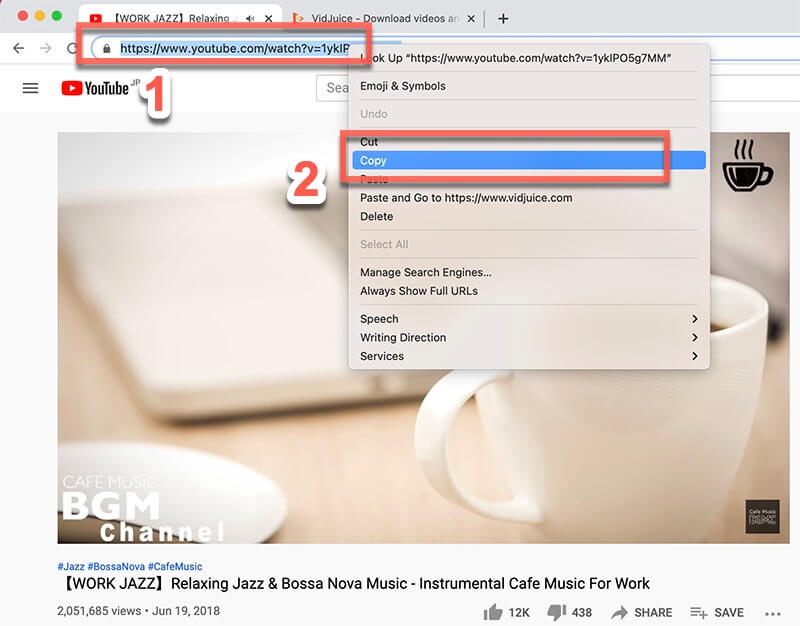 Copy the video url